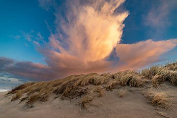 Duinen van Noordwijk van Yanuschka Fotografie | Noordwijk