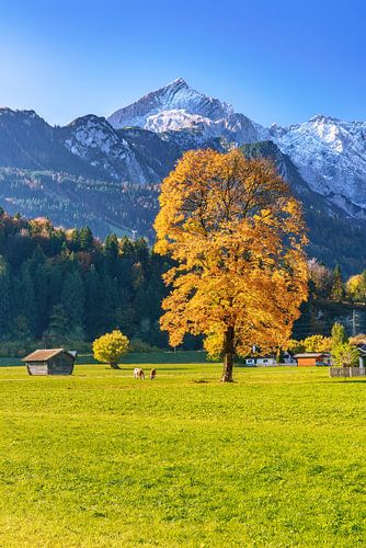 Autumn in the Bavarian Alps by Achim Thomae Photography