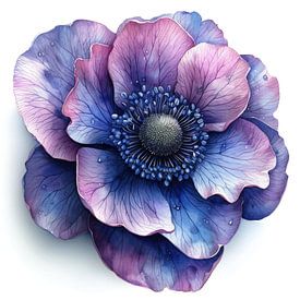 Anemone Breeze von Chromatic Fusion Studio