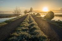 Misty sunrise in the polder