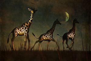 Tierreich  – Giraffen fliehen
