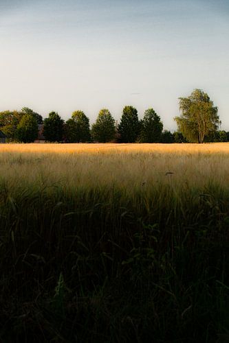 Nouveau paysage frison 2024