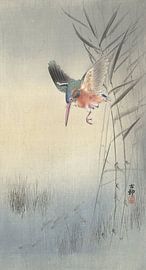 Eisvogel jagt Fische aus Ohara Koson