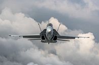 Zwitserse McDonnell Douglas F/A-18C Hornet. van Jaap van den Berg thumbnail