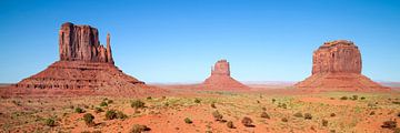 Fascinating Monument Valley | panoramic view van Melanie Viola