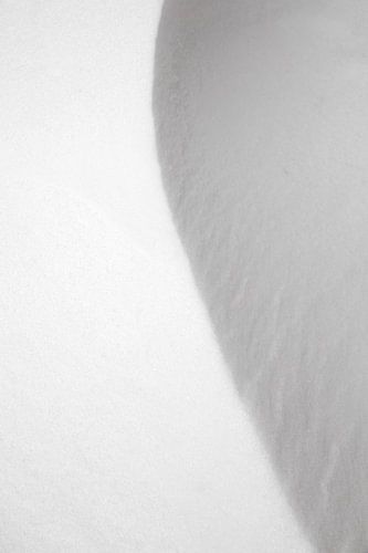 Schneesignale