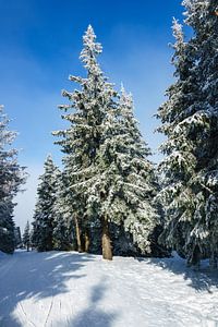 Winter im Riesengebirge in der Tschechische Republik