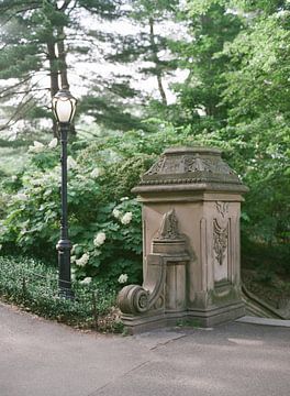 Bethesda-Terrasse im Central Park, New York von Alexandra Vonk