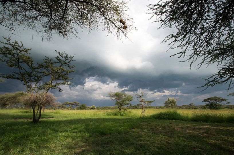 Serengeti by Ger van Beek