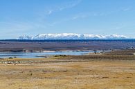 Crowley Lake von Easycopters Miniaturansicht