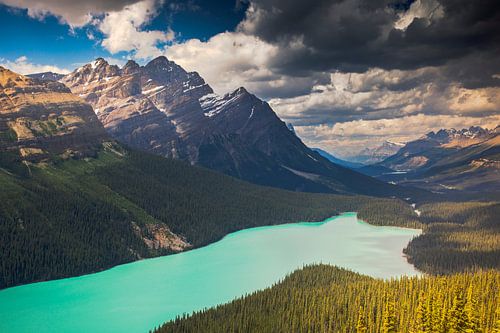 Peyto Lake