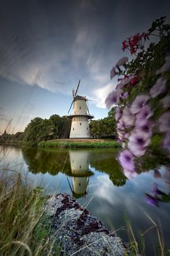 Schöner bewölkter Himmel und eine schöne Spiegelung der Mühle De Hoop in Middelburg