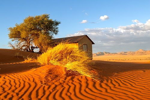 Wüste in Flammen – Sonnenuntergang bei der Dune Star Lodge