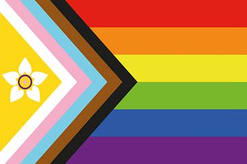 Inclusie LGBTQIAPN Vlag van de Trots van Art Kingdom