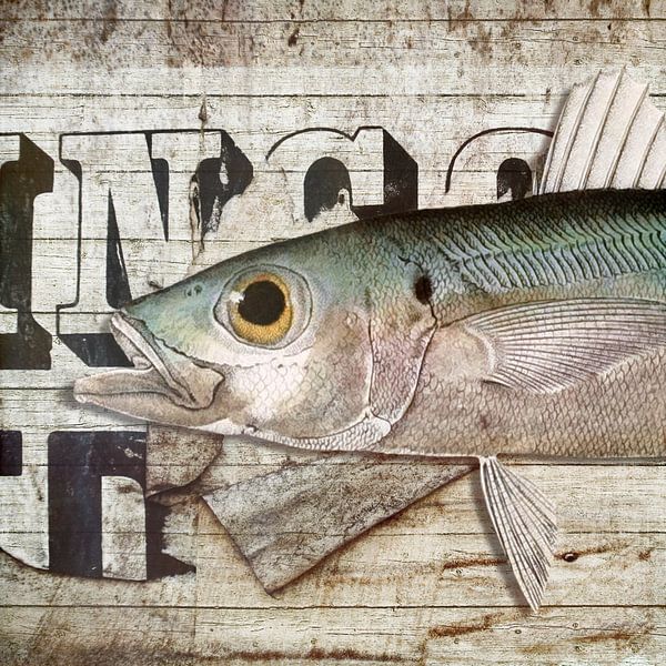 The Fish Dish van Marja van den Hurk