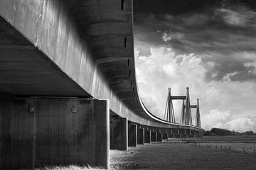 Prince Willem-Alexander Bridge by Arjen Roos