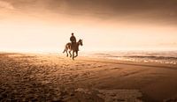 0120 Horse riding on the beach van Adrien Hendrickx thumbnail