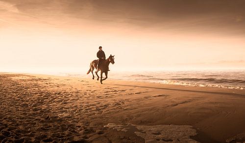 0120 Horse riding on the beach