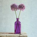 Allium - in paarse fles van Mariska Vereijken thumbnail