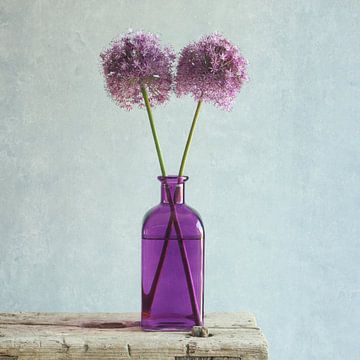 Allium - in violetter Flasche von Mariska Vereijken