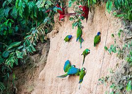 Eine Wand voller Farben von Lennart Verheuvel