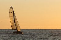 Approaching boat in the harbour of IJmuiden