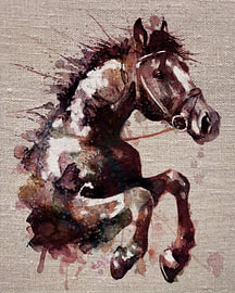 Leaping horse in watercolour and Indian ink by MadameRuiz