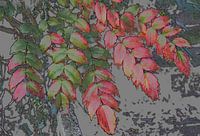 Herfst blad,