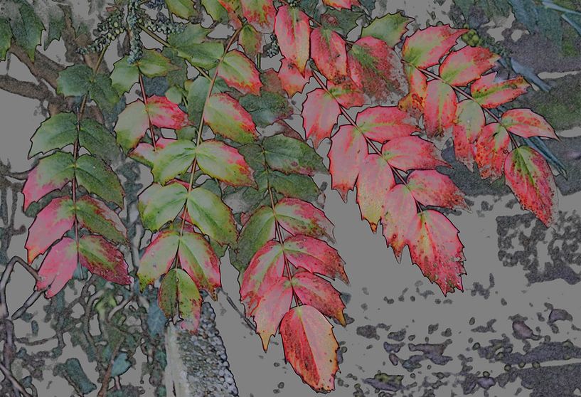 Herfst blad, par Hans Jansen