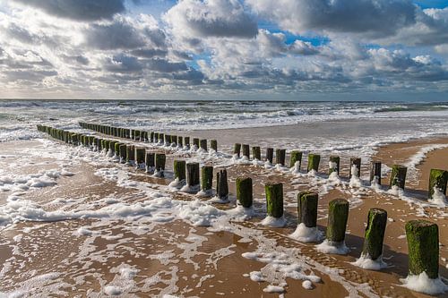 Timeless yet totally contemporary