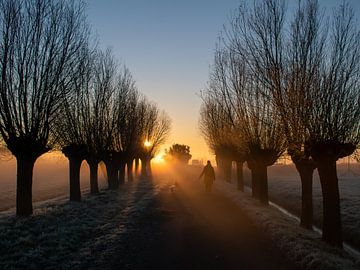 Schaduw van de wandelaar tijdens een koude zonsopkomst van Arjan van der Veer