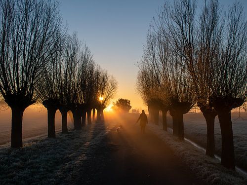 Shadow of the walker during a cold sunrise