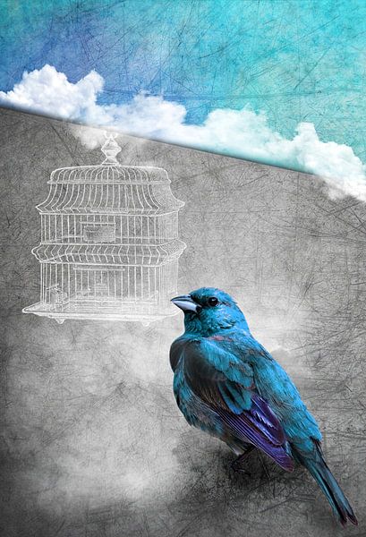 Blue Bird par INA FineArt