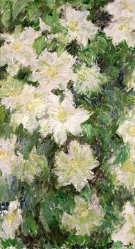 Claude Monet,Witte Clematis