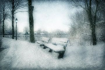 Winter wonderland van Annie Snel