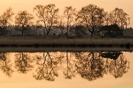 Bäume in Spiegelung Große Heide von Easycopters