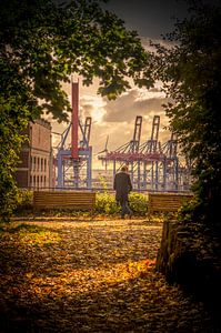 Fotografie Hamburg - Paar genießt den Ausblick oberhalb des Hamburger Hafens auf die Elb von Ingo Boelter