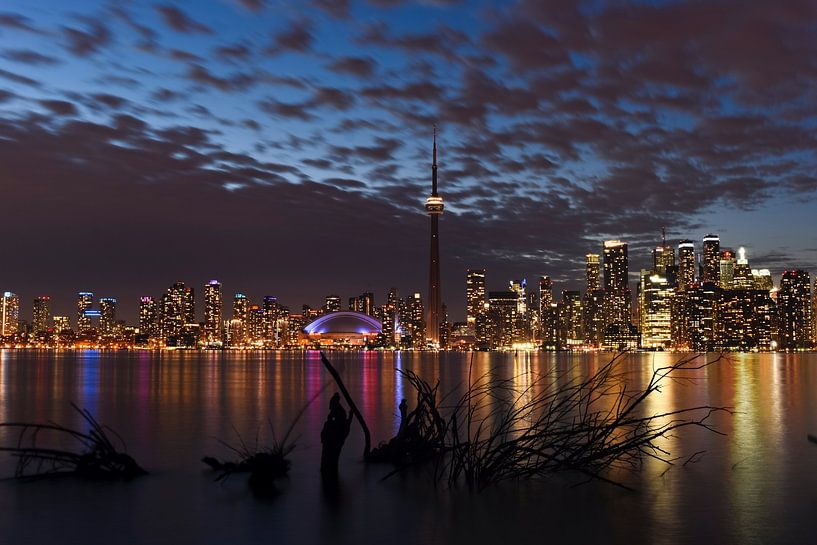 Toronto by Hello Pompoyo