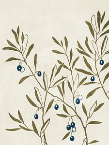 Olive Branch