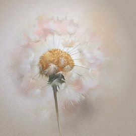 Dreamy painting of a Dandelion by Studio Pieternel