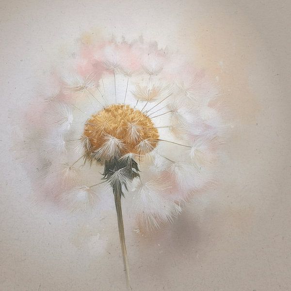 Dromerig schilderij van een Dandelion van Studio Pieternel