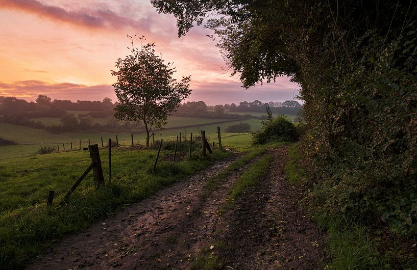 Eine magische Limburger Morgenlandschaft: Sonnenaufgang über dem Land von Hevonax Photography