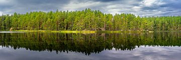 meer in Tiveden nationaal park Zweden van Gijs Verbeek