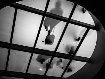 Rotterdam silhouettes