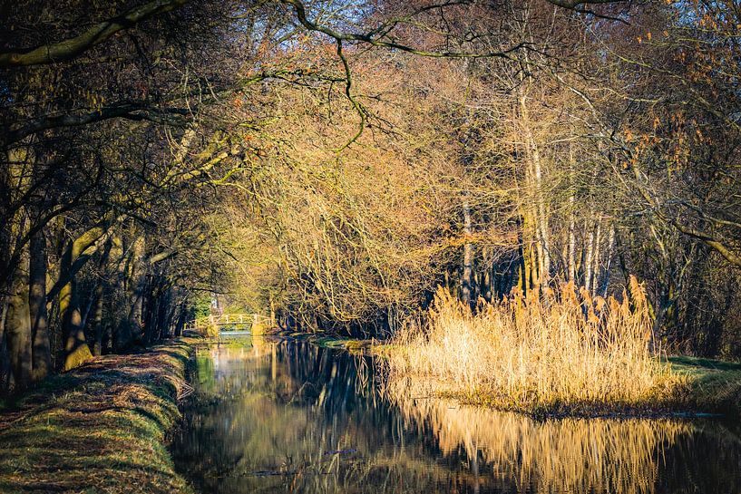 Ditch near Klarenbeek by Freddy Hoevers