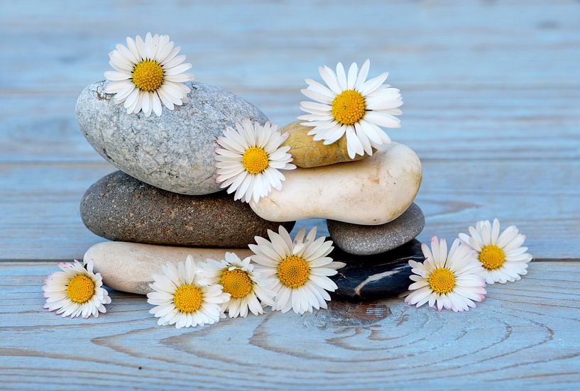 des pierres zen avec des fleurs par Trinet Uzun