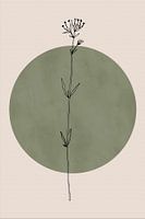 Wabi-sabi botanische bloem Japandi nr. 5