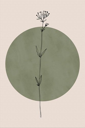 Wabi-sabi botanische bloem Japandi nr. 5