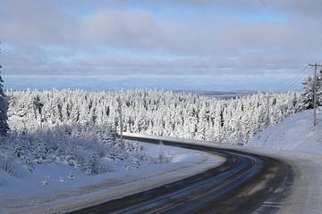 Een landweg in de winter van Claude Laprise