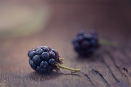 Berries by Robert van den Baar